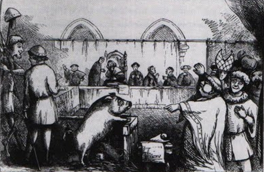 Illustration entitled 'Trial of a Sow and Pigs at Lavegny' taken from The Book of Days (1863) edited by Robert Chambers (Image and caption via the Public Domain Review). 