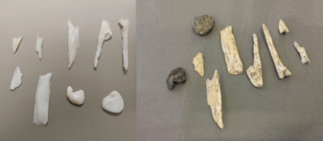 Screen Shot 2016-02-14 at 7.06.43 AM