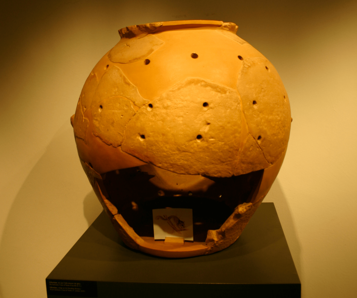 Screen Shot 2017-06-06 at 8.49.46 AM