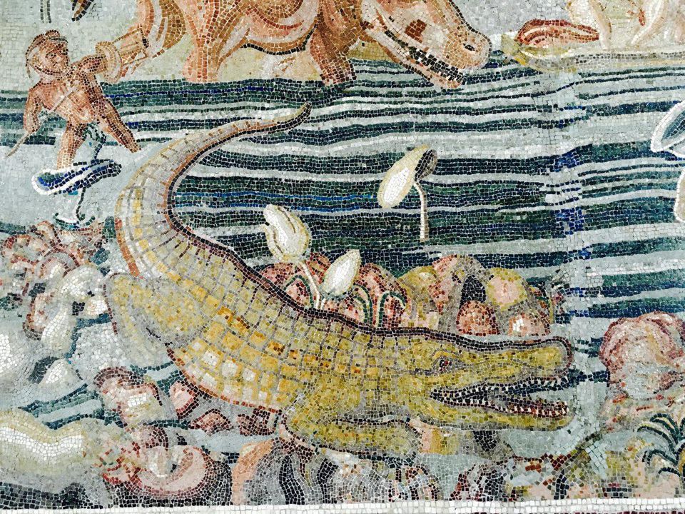 https_blogs-images.forbes.comdrsarahbondfiles201706IMG_2891-1200x900