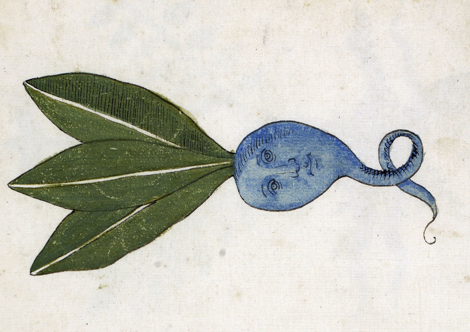 tumblr_p5nbc152tB1rqxd5ko1_1280